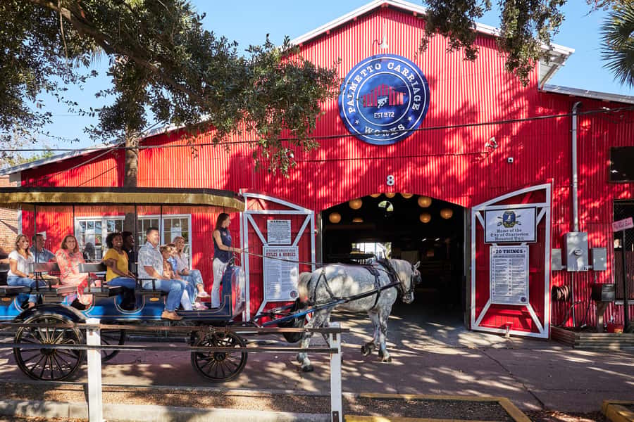 Charleston: Downtown Horse-Drawn Carriage Tour - Horses and comfort: what to expect beyond the photos