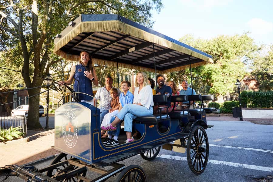 Charleston: Downtown Horse-Drawn Carriage Tour - How to decide if this is your kind of tour