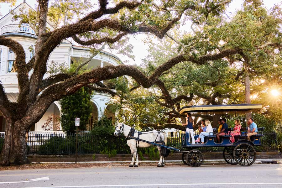 Charleston: Downtown Horse-Drawn Carriage Tour - Palmetto Carriage Works: the big red barn start (and how to make it easy)