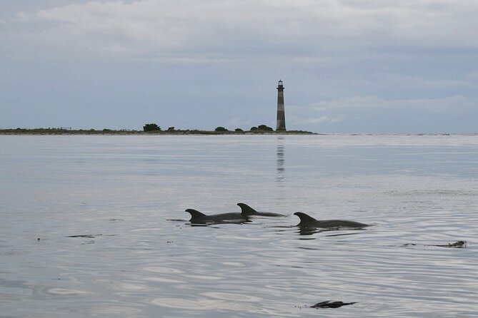 Charleston Eco Boat Cruise with stop at Morris Island Lighthouse - Morris Island Lighthouse stop: what you get and what you cannot