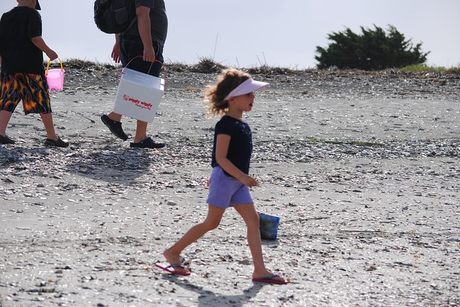 Charleston Eco Boat Cruise with stop at Morris Island Lighthouse - Wildlife spotting: how to maximize dolphin and sea turtle odds