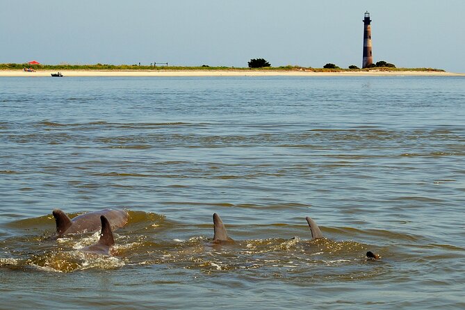 Charleston Eco Boat Cruise with stop at Morris Island Lighthouse - Weather and comfort: this is where most people win or suffer