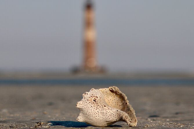 Charleston Eco Boat Cruise with stop at Morris Island Lighthouse - Value for your Charleston itinerary: two and a half hours that feel like a day trip