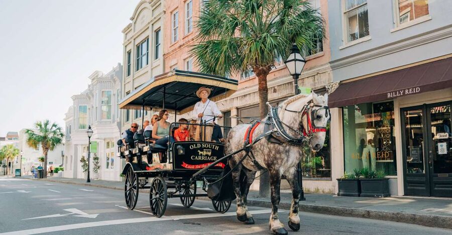 Charleston: Historical Downtown Tour by Horse-drawn Carriage - Key Points You Should Know Before You Ride