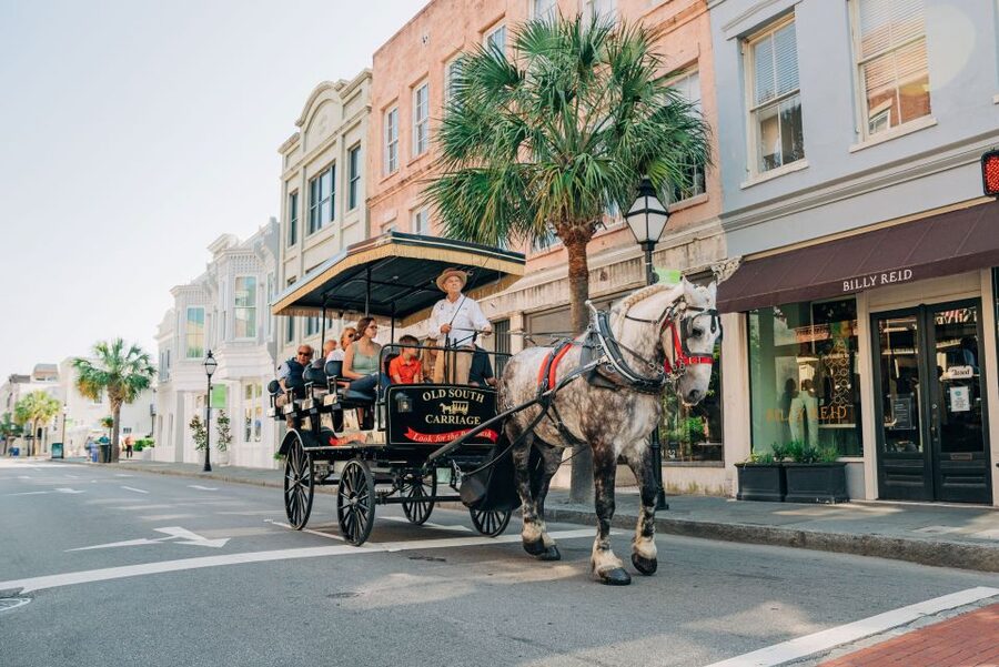 Charleston: Historical Downtown Tour by Horse-drawn Carriage - Why This One-Hour Horse-Drawn Tour Works in Charleston