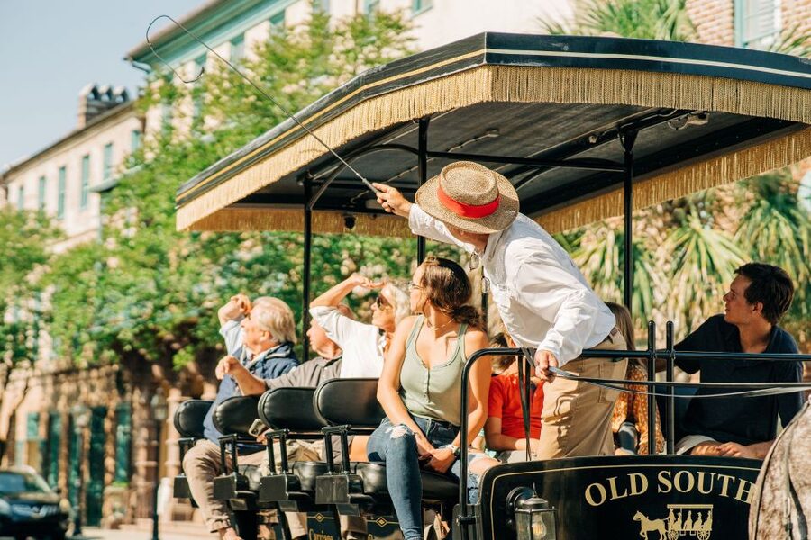 Charleston: Historical Downtown Tour by Horse-drawn Carriage - The Carriage Ride Itself: Comfort, Horses, and Pace