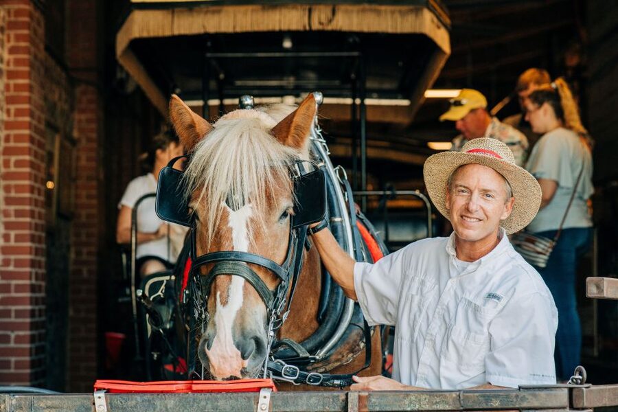 Charleston: Historical Downtown Tour by Horse-drawn Carriage - Charleston Battery: Seeing the Waterfront Story Close-Up