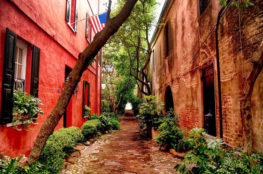 Charleston: History and Architecture Guided Walking Tour - Key highlights worth your time