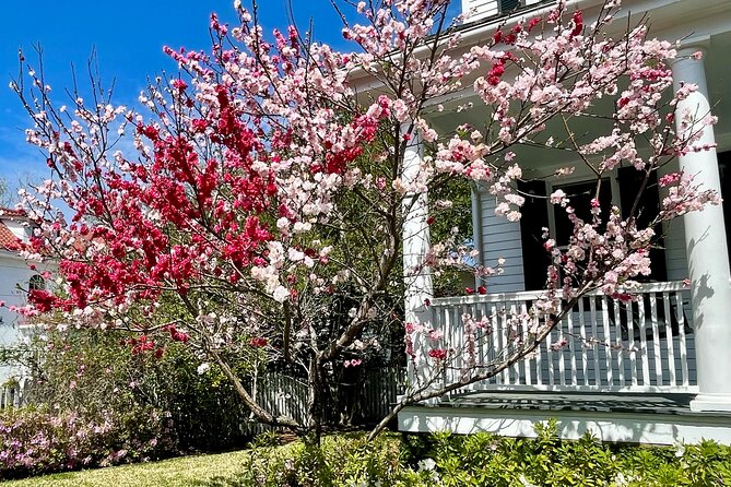 Charleston History Tour / - Getting started at 80 Broad St, the tour’s easy launch point