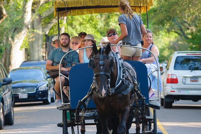 Charleston Horse & Carriage Historic Sightseeing Tour - Entering Charleston at the Historic City Market (45 Pinckney St)