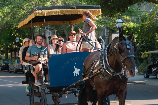 Charleston Horse & Carriage Historic Sightseeing Tour - Rainbow Row: why this quick photo stop works