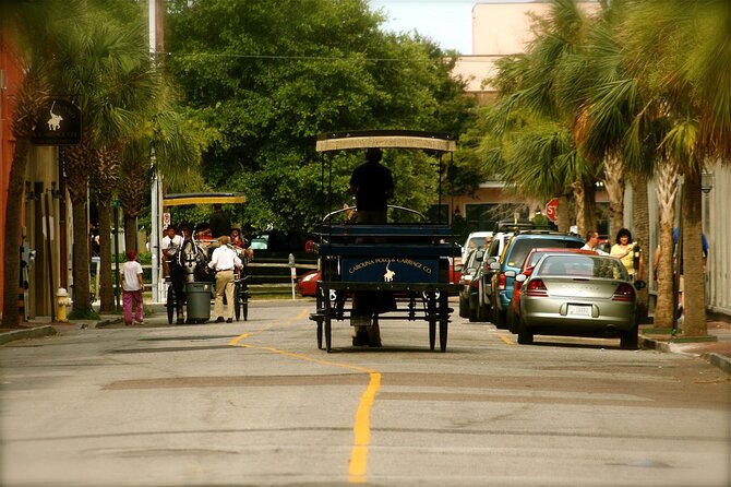 Charleston Horse & Carriage Historic Sightseeing Tour - Price and value: what $45 buys you in Charleston