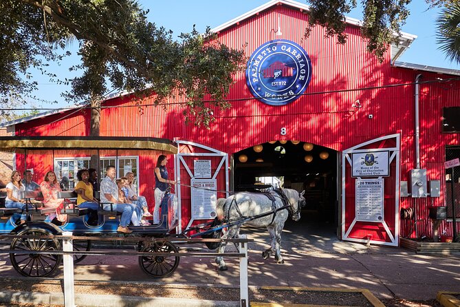 Charleston Horse-Drawn Carriage Tour: Explore Historic Charleston - Horses First: Safety, Handling, and What the Reviews Signal About Care