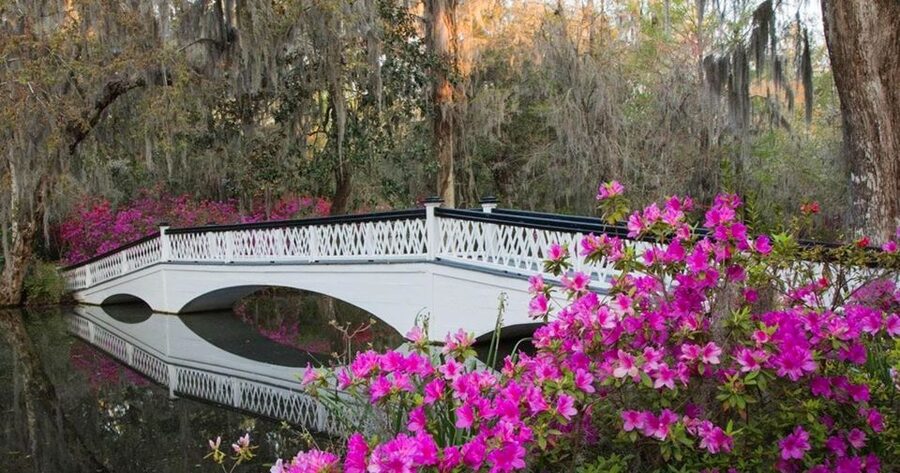 Charleston: Magnolia Plantation Entry & Tour with Transport - Who should book this Magnolia Plantation tour, and who might not