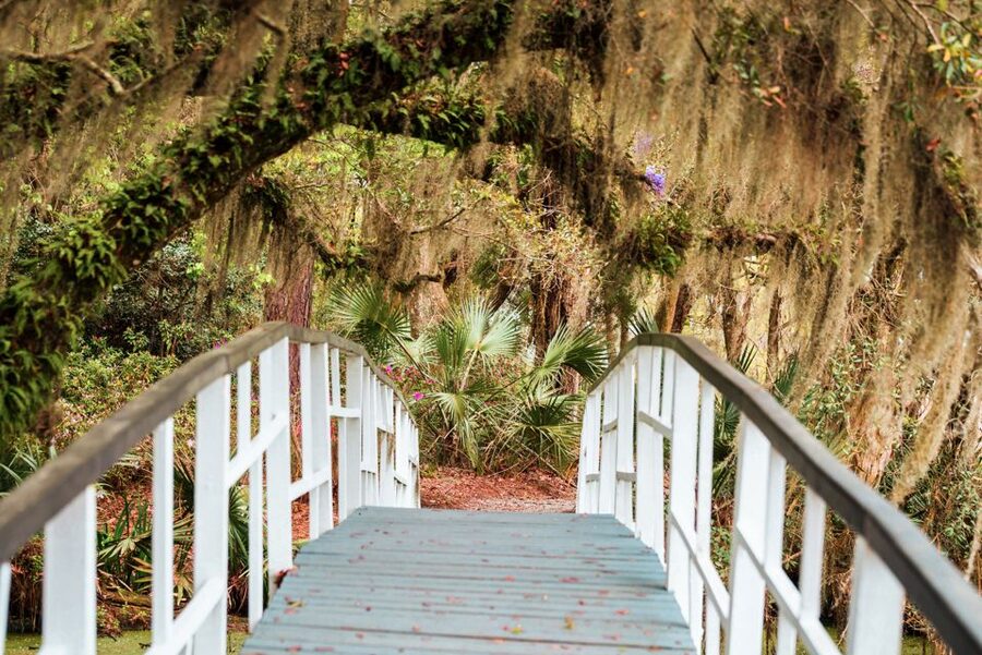 Charleston: Magnolia Plantation Entry & Tour with Transport - The guided house tour at Drayton Home: what you actually get to see