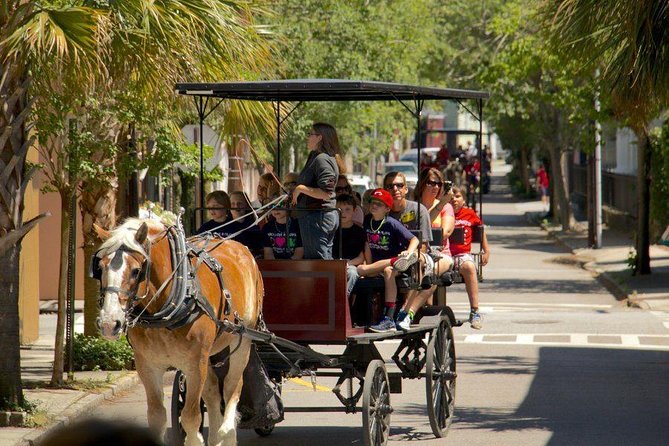 Charleston's Historic Residential Horse and Carriage Tour - City-licensed storytelling: what the guide really adds