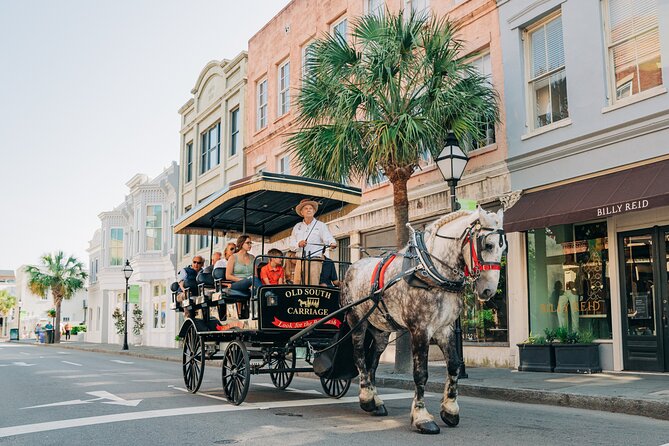 Charleston’s Old South Carriage Historic Horse & Carriage Tour - Guides who turn streets into stories