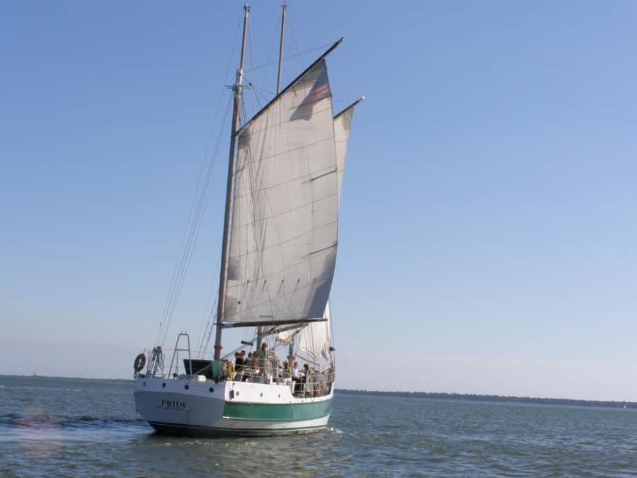 Charleston: Schooner Sailing Harbor Tour & Dolphin Watch - Hoisting sails up to 84 feet: the most memorable part