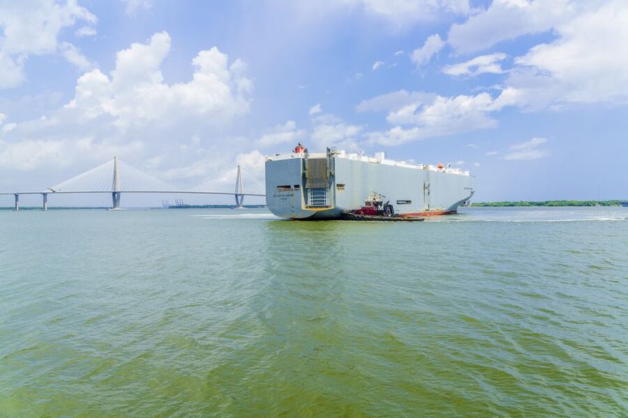 Charleston: Sightseeing Harbor Tour & Dolphin Watch - 90 minutes on the water: what to do before you board