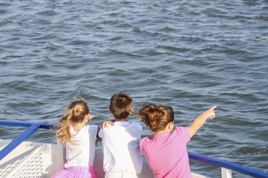 Charleston: Sightseeing Harbor Tour & Dolphin Watch - Who this tour is best for, and who might want something else