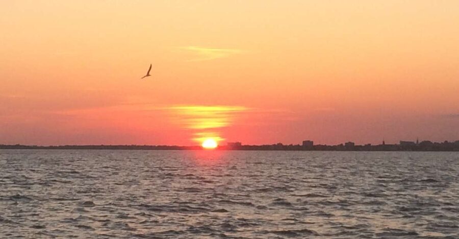 Charleston: Sunset Harbor Cruise - Fort Sumter and the Ravenel Bridge view from the water