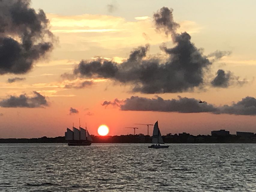 Charleston: Sunset Harbor Cruise - Wildlife odds: dolphins and shore birds on a coastal route