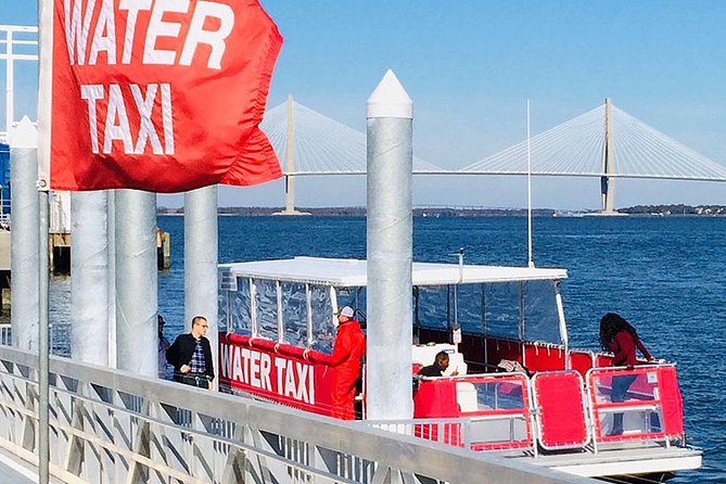 Charleston Water Taxi Cruise with Dolphin Sighting - Key things I’d watch for before you go