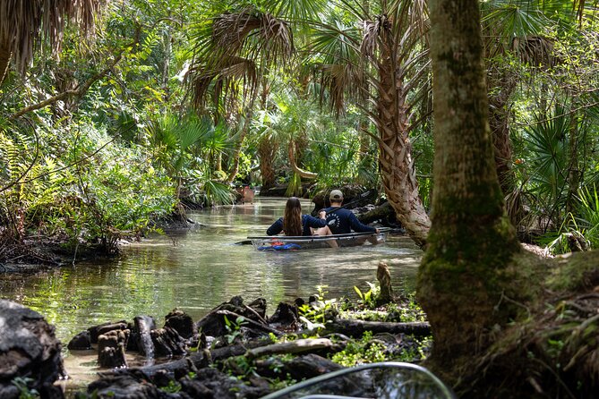 Chassahowitzka River Clear Kayak Springs & Manatee Tours - Key things to know before you go
