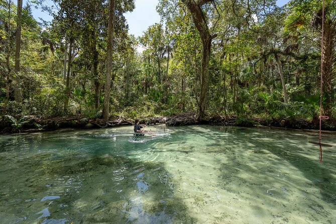 Chassahowitzka River Clear Kayak Springs & Manatee Tours - Why the Chassahowitzka feels like Old Florida