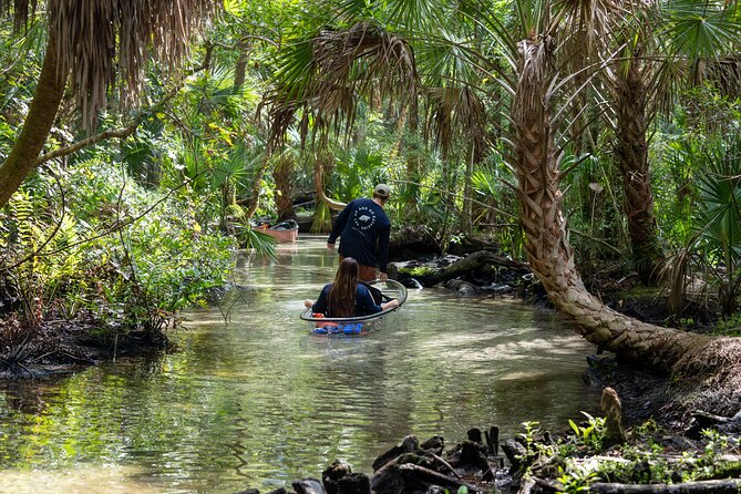 Chassahowitzka River Clear Kayak Springs & Manatee Tours - Stop 1 at Seven Sisters Springs: tunnels, limestone, and first views