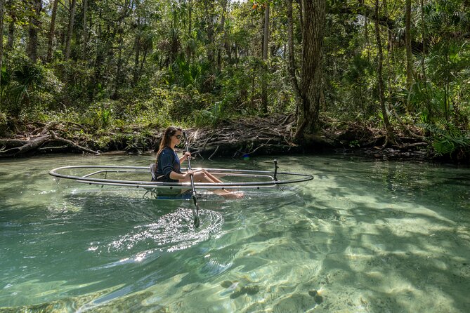 Chassahowitzka River Clear Kayak Springs & Manatee Tours - Clear kayak setup, tandem seats, and what to bring