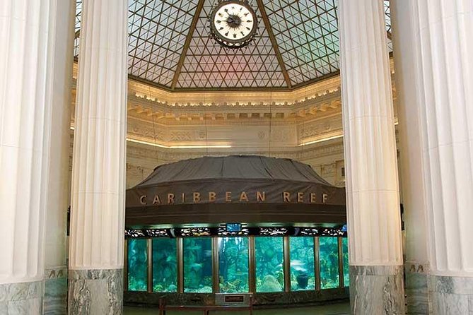 Chicago CityPASS® - Shedd Aquarium: the can’t-miss stop if you want energy and variety
