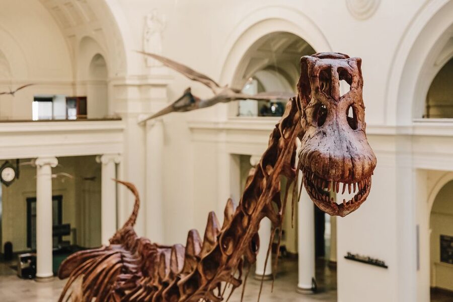 Chicago CityPASS®: Save up to 49% at 5 Top Attractions - Field Museum: Sue the dinosaur plus major exhibits