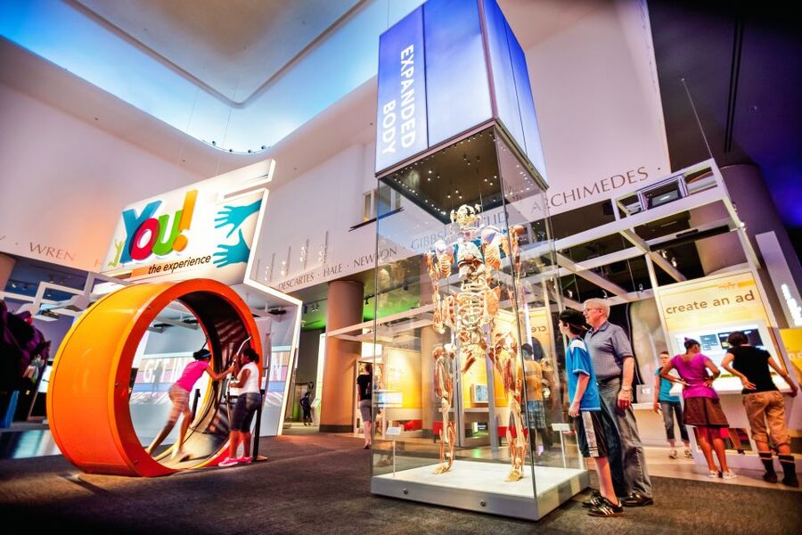 Chicago CityPASS®: Save up to 49% at 5 Top Attractions - Value check: when CityPASS feels like a no-brainer