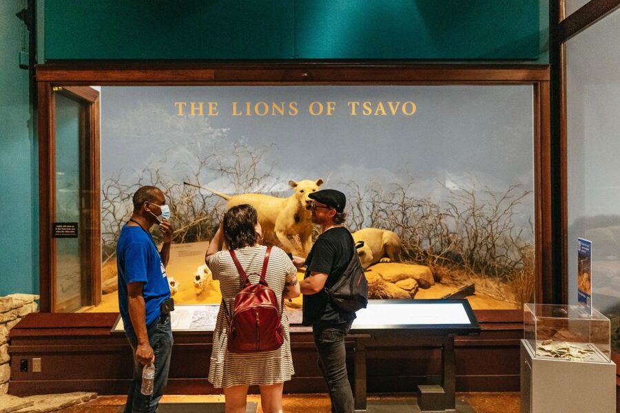 Chicago: Field Museum of Natural History Ticket or VIP Tour - Key takeaways before you go