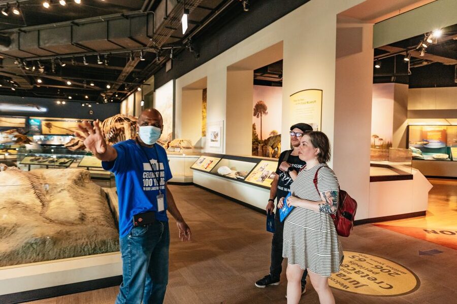 Chicago: Field Museum of Natural History Ticket or VIP Tour - Should you book the Field Museum ticket or VIP tour?