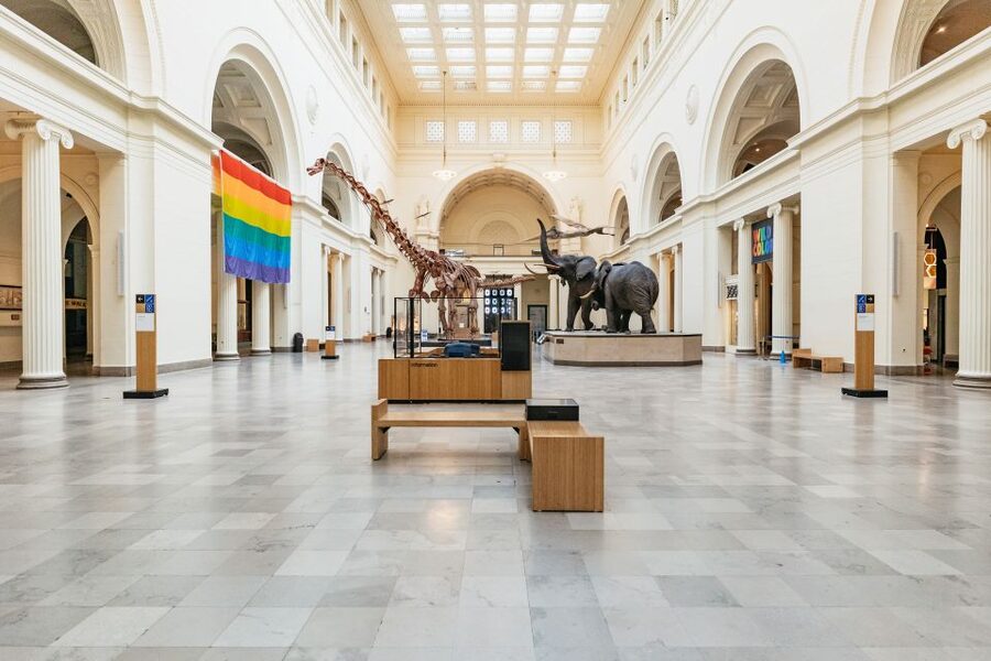 Chicago: Field Museum of Natural History Ticket or VIP Tour - A one-day flow through the Field Museum’s must-see zones