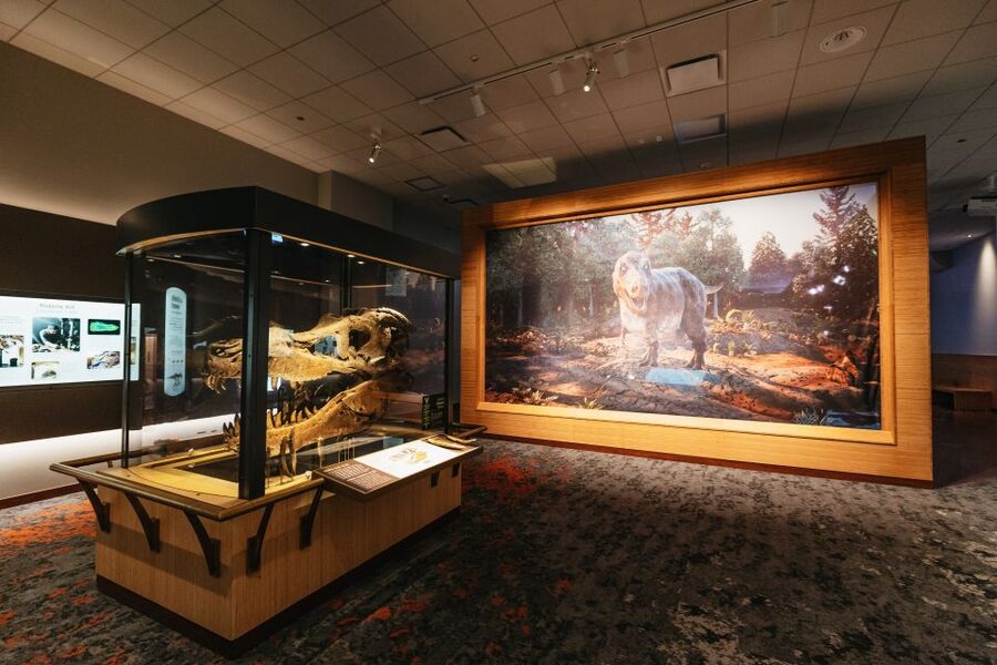 Chicago: Field Museum of Natural History Ticket or VIP Tour - Underground Adventure, Hall of Gems, and the Hall of Jades