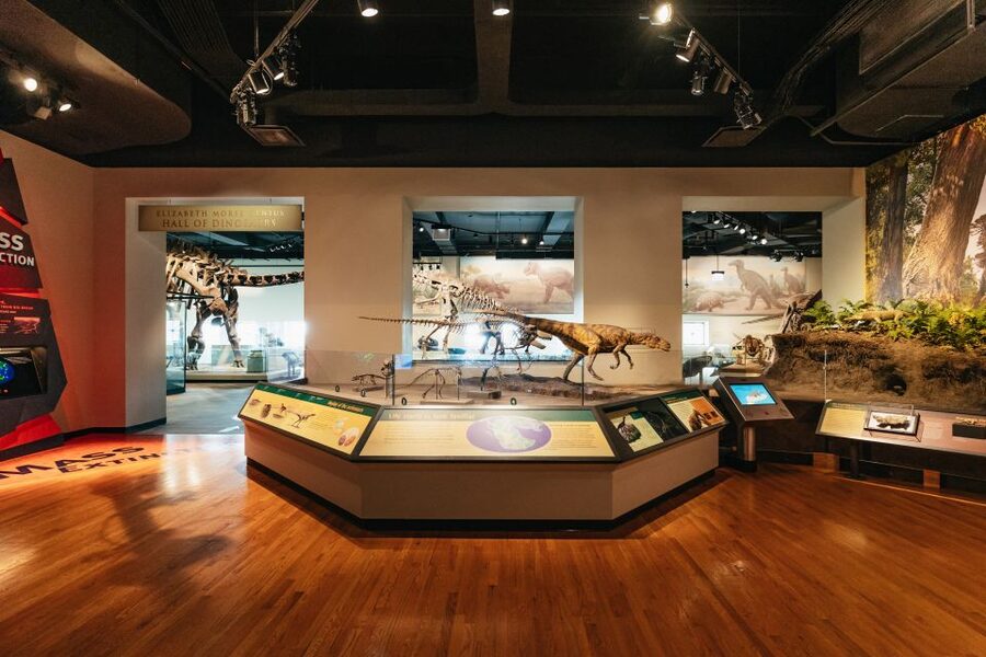 Chicago: Field Museum of Natural History Ticket or VIP Tour - The Lions of Tsavo and the mastaba tomb: museum highlights beyond fossils