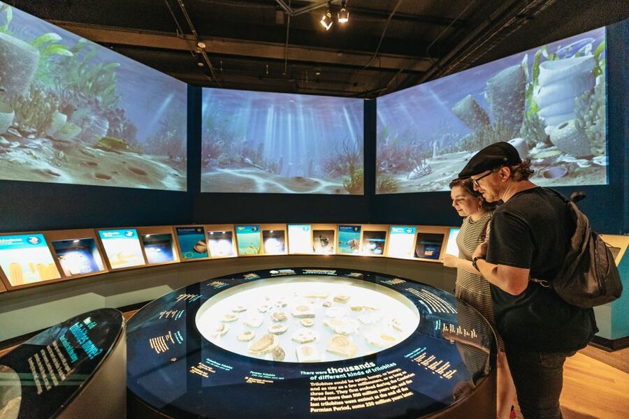 Chicago: Field Museum of Natural History Ticket or VIP Tour - Who this is best for in Chicago