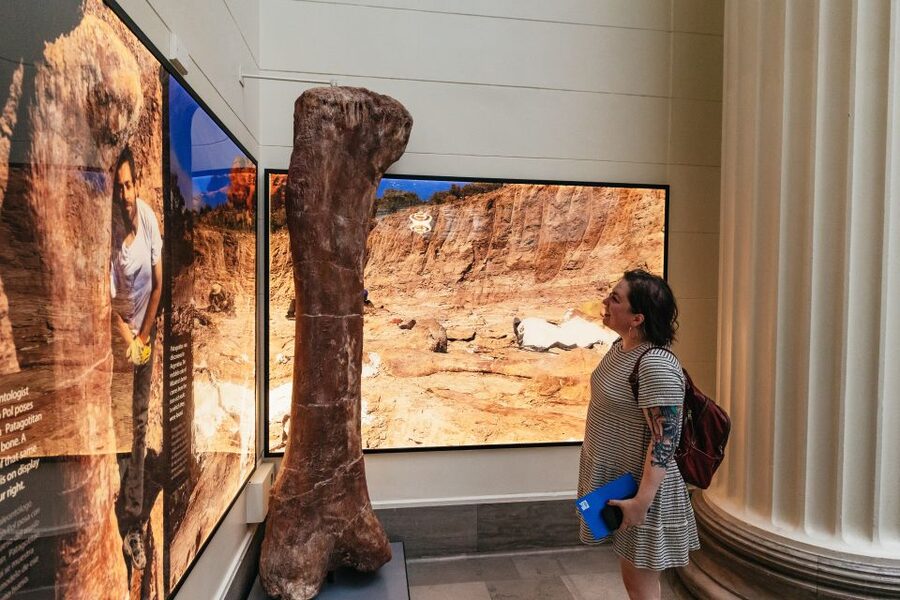 Chicago: Field Museum of Natural History Ticket or VIP Tour - Choosing your ticket strategy: General Admission, All-Access, or Early Access VIP