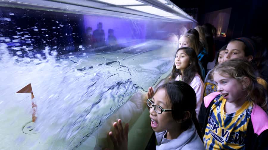 Chicago: Griffin Museum of Science and Industry Ticket - Weather science you can control, not just watch
