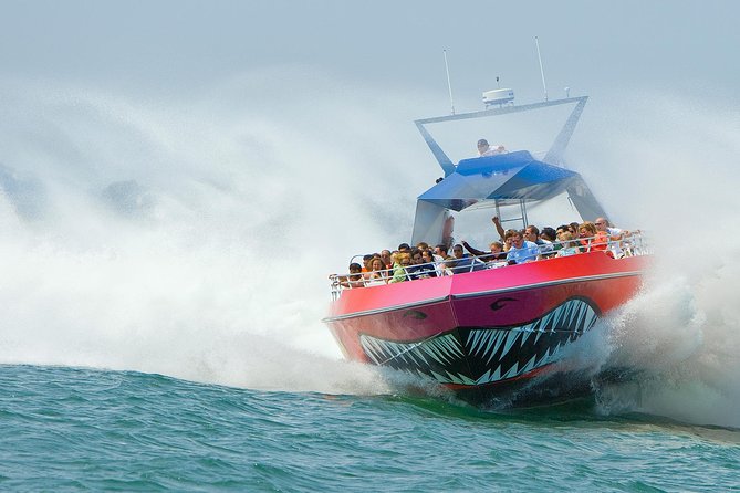 City Cruises Boston Codzilla High-Speed Thrill Boat Ride - Quick hits before you buy