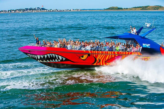 City Cruises Boston Codzilla High-Speed Thrill Boat Ride - Who this fits best, and who should think twice