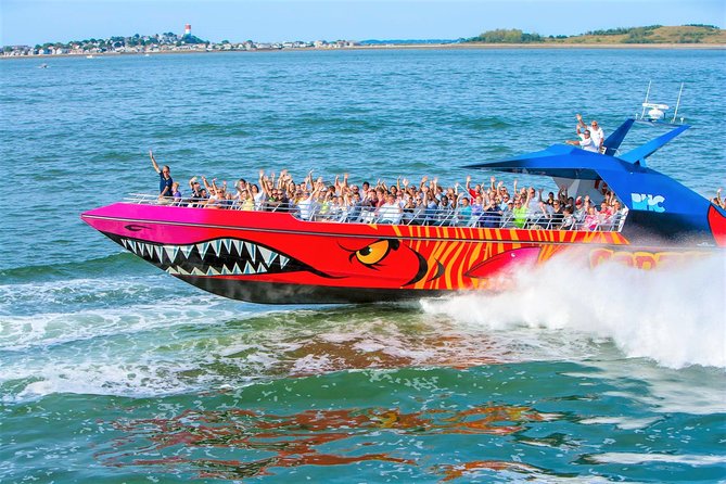City Cruises Boston Codzilla High-Speed Thrill Boat Ride - Views from the water, and why where you sit changes everything
