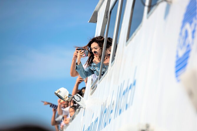 City Cruises Boston Whale Watching Cruise by High-Speed Boat - Price and value, what you get for about $85.56