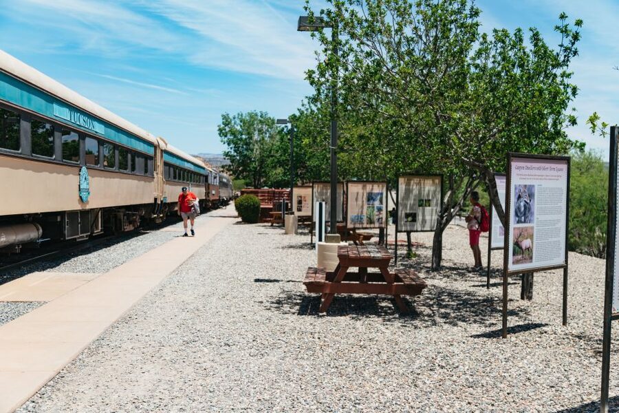 Clarkdale: Verde Canyon Railroad Train Ticket - What to bring (and what to leave behind)