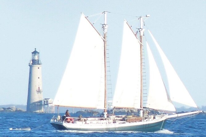Classic Tall Ship Cruise in Boston Harbor - If Weather Allows, You May Get to Hoist the Sails