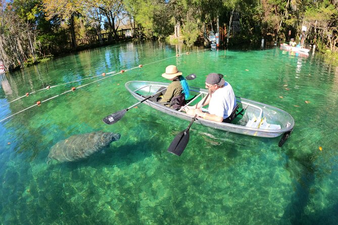 Clear Kayak Manatee Ecotour of Crystal River - All-clear tandem kayaking in Crystal River, what it changes for you