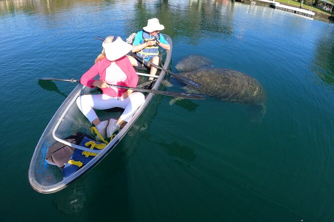 Clear Kayak Manatee Ecotour of Crystal River - Stop at Crystal River: what you do out on the water